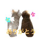 愉快なわんころたち（個別スタンプ：3）