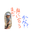 kaichi's memory（個別スタンプ：23）