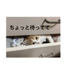 いたずらルルちゃん（個別スタンプ：16）