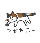 我が家のねこさん【みけねこ・イエロー】（個別スタンプ：31）