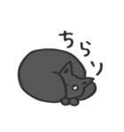 我が家のねこさん【くろねこ・グリーン】（個別スタンプ：34）