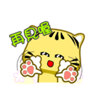 Cute striped cat. CAT139（個別スタンプ：25）