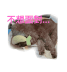 Jump Dog（個別スタンプ：6）