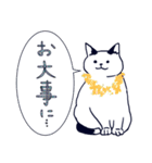 平凡なねこの暮らし（個別スタンプ：36）