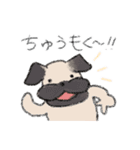 ハッキリ犬2（個別スタンプ：9）