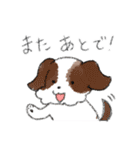 ハッキリ犬2（個別スタンプ：17）