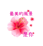 Sweet Power Flowers (Cherry Blossoms)（個別スタンプ：3）