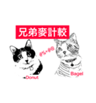 Two arguing cats -1（個別スタンプ：1）