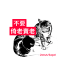 Two arguing cats -1（個別スタンプ：21）