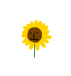 sunflower and her sun（個別スタンプ：19）