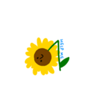 sunflower and her sun（個別スタンプ：36）