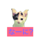 いいちゃ（個別スタンプ：3）