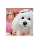 I LOVE doggy（個別スタンプ：1）