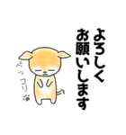 ほぼちわわ（個別スタンプ：4）