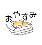 ほぼちわわ（個別スタンプ：40）