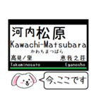 私鉄の南大阪線 長野線 道明寺線この駅だよ（個別スタンプ：10）