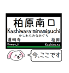 私鉄の南大阪線 長野線 道明寺線この駅だよ（個別スタンプ：25）