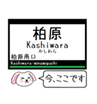 私鉄の南大阪線 長野線 道明寺線この駅だよ（個別スタンプ：26）