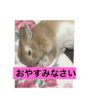 monaka rabbit picuture 6（個別スタンプ：2）