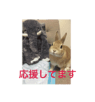 monaka rabbit picuture 6（個別スタンプ：5）