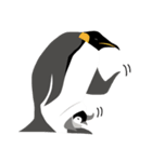 ペンギン スタンプ（個別スタンプ：1）