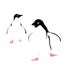 ペンギン スタンプ（個別スタンプ：3）
