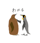 ペンギン スタンプ（個別スタンプ：7）