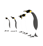 ペンギン スタンプ（個別スタンプ：9）