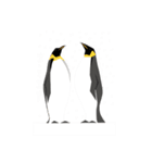 ペンギン スタンプ（個別スタンプ：12）