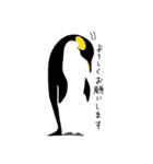 ペンギン スタンプ（個別スタンプ：14）
