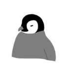 ペンギン スタンプ（個別スタンプ：25）