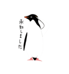 ペンギン スタンプ（個別スタンプ：27）