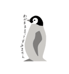 ペンギン スタンプ（個別スタンプ：28）