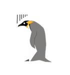 ペンギン スタンプ（個別スタンプ：34）