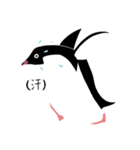 ペンギン スタンプ（個別スタンプ：35）