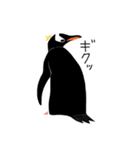 ペンギン スタンプ（個別スタンプ：39）