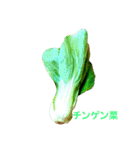 野菜と果物？（個別スタンプ：6）