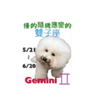 bichon constellation（個別スタンプ：5）