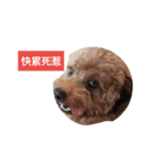 doggydoggy（個別スタンプ：2）