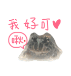 My lovely Horned Frogs 94 love murmur（個別スタンプ：3）