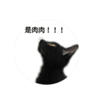 black  black  black cat（個別スタンプ：1）