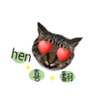 cat's name is gi（個別スタンプ：14）