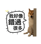 A SHIBAINU from the Huangs（個別スタンプ：3）