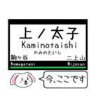 私鉄の南大阪線 吉野線 御所線今この駅だよ（個別スタンプ：1）