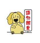 Dachshund Nunu daily（個別スタンプ：23）