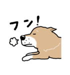 Japanese dog40（個別スタンプ：25）