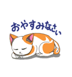 二毛猫のスタンプ（個別スタンプ：6）