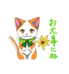 二毛猫のスタンプ（個別スタンプ：9）