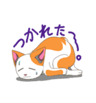 二毛猫のスタンプ（個別スタンプ：28）