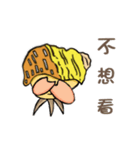 Hermit crab daily life（個別スタンプ：13）